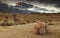 Approaching storm on Alabama Hills