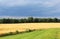 Approaching storm over wheatfield