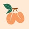 Apricot branch. Exotic tropical peaches or apricots fresh fruit, whole juicy peach on tree. Vector cartoon minimalistic style