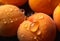 Apricot closeup photo organic. Generate Ai