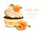 Apricot Cupcake isolated on a white background. Vector realistic dessert. Summer delicious treat