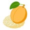 Apricot dessert icon isometric vector. Fresh ripe apricot and sesame cookie icon