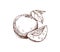 Apricot, engraved outlined drawing in vintage retro style. Etched detailed fruit, whole, cut half, wedge composition