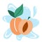 Apricot. Exotic tropical peaches or apricots fresh fruit. Whole and half juicy peach on blue background. Vector cartoon