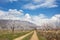 Apricot farm during sping season against Vayk mountain range, Vayots Dzor Province, Armenia