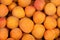 Apricot fruits