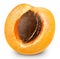 Apricot fruits isolated