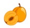 Apricot icon