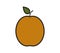 Apricot icon illustrated