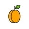 Apricot icon. Linear color icon, contour, shape, outline. Thin line. Modern minimalistic design. Vector illustrations of