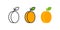 Apricot icon. Linear color icon, contour, shape, outline. Thin line. Modern minimalistic design. Vector set