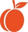 Apricot icon vector