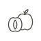 Apricot icon vector. Outline fruit, line apricot symbol.