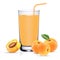 Apricot Juice Set With Fresh Fruits And Leaves On A White Background.