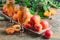 Apricot liqueur and juicy fruits on a wooden table