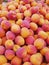 apricot market organic