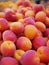 Apricot market organic