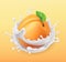 Apricot and milk splash. Fruit and yogurt. 3d vector icon