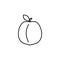 apricot outline icon. Element of fruits icon. Thin line icon for website design and development, app development. Premium icon