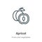 Apricot outline vector icon. Thin line black apricot icon, flat vector simple element illustration from editable fruits and