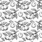 Apricot seamless pattern. Vector drawing. Hand drawn fruit, branch