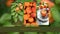 Apricot season. Collage of three images on blurry background. Social media template.