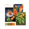 Apricot season. Collage of three images on white background. Social media template.