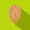 Apricot seed icon, flat style