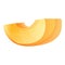 Apricot slice icon, cartoon style