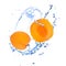 Apricot with water splash