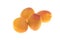 Apricot on white background isolated insulated