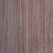 Apricot wood texture