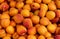 Apricots at the market