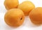 Apricots, prunus armeniaca against White Background