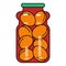 Apricots in a secled jar. vector illustration.