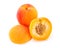 Apricots on white (Prunus armeniaca)