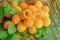 Apricots on wooden table