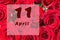 April 11th. Day of 11 month, calendar date. Natural background of red roses. A bouquet of dark red roses