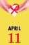 April 11th. Festive Vertical Calendar With Hands Holding White Gift Box With Red Ribbon And Calendar Date 11 April On Illuminating