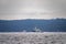 April 13, 2023 - Nanaimo, Canada - Canadian military vessel Stikine sails northward past Gabriola Island in the Strait