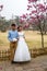 April 2016 - Qingdao, China - Chinese couple doing wedding pictures during the cherry blossoms festival