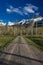 APRIL 27, 2017 - HASTINGS MESA near RIDGWAY AND TELLURIDE COLORADO - Gravel road leads to San Juan. Remote, Photography