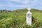 April 27th 2019 - Lemnos island, Greece - Lonely grave of a woman in a field in Lemnos island, Greece