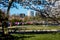 April 8, 2018 - WASHINGTON DC - Cherry Blossom 10 Mile Run, Washington D.C. with Rosslyn skyline. Runners, event