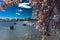 APRIL 8, 20918 - WASHINGTON D.C. - Jefferson Memorial framed by Cherry Blossoms on Tidal Basin,. Dc, national