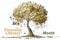 April is financial literacy month background design with a profit tree illustration. Money Tree. Financial Literacy Month.