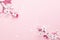 April floral nature. Spring blossom and may flowers on pink. For banner, branches of blossoming cherry against