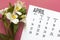 April monthly calendar and spring flower