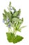 April spring fresh sprout of blooming forest mini plant with b