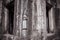 Apsara carvings status on the wall of Angkor temple, world herit